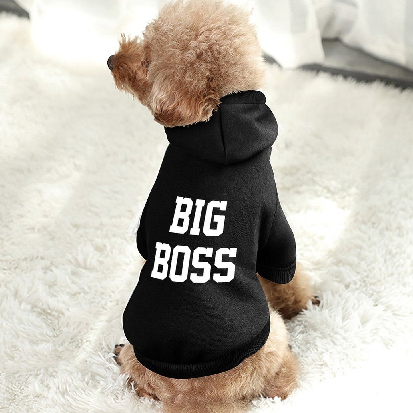 Funny Dog Hoodie – “BIG BOSS” – Cozy Pet Sweater – Gift for Pet Parents