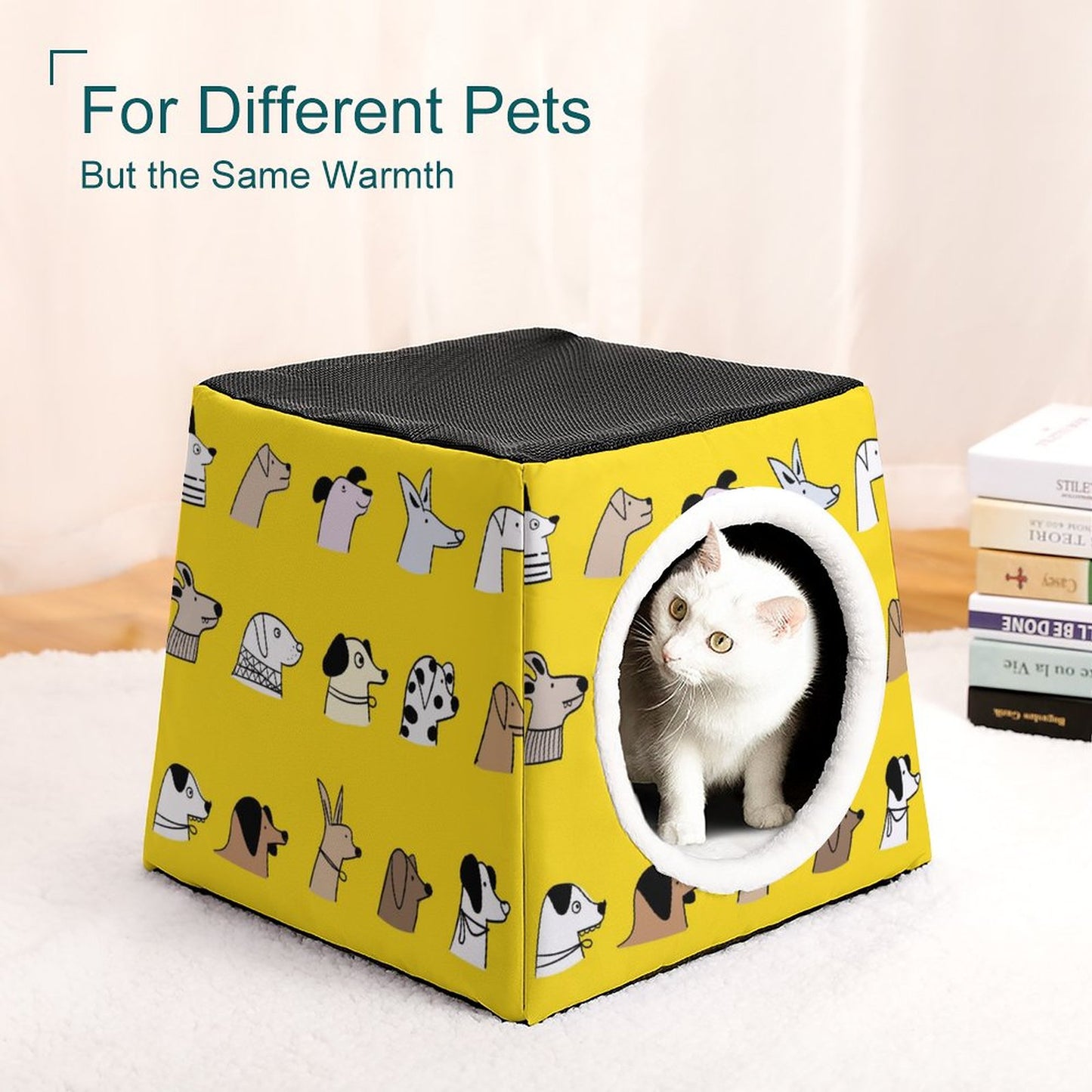 Capsule Pet Waterloo